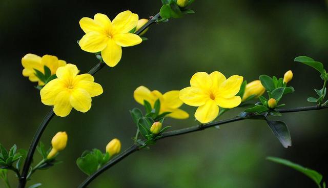 老人的告诫:做人,不要在三件事上卑微,不然会被人瞧不起,懂了