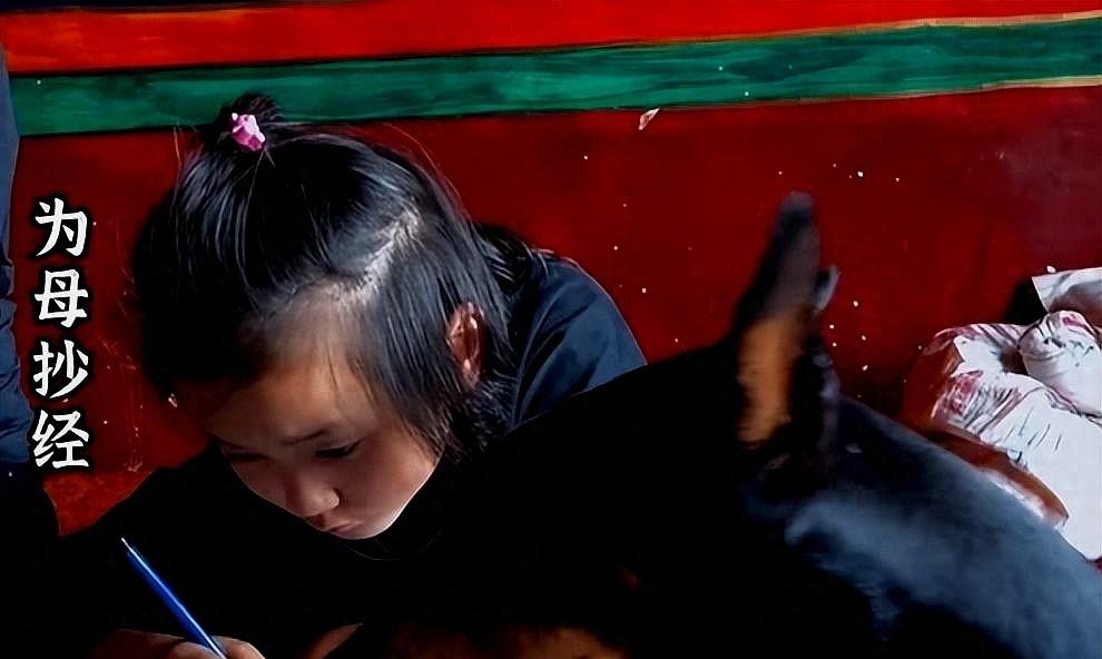 48岁陶红因病去世,9岁女儿一路跪拜祈福,和乐嘉婚姻仅维系3年