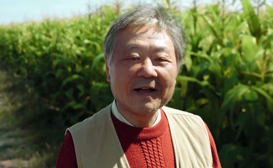 才播4集,评分高达8.2,观众:终于有部值得熬夜追的悬疑探案剧