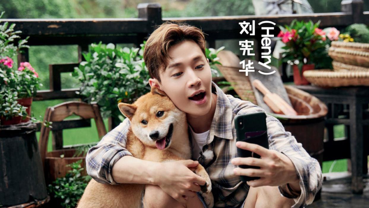 县委大院|《向往7》定档，大华第2轮回归，《县委大院》主演加盟，胡歌缺席