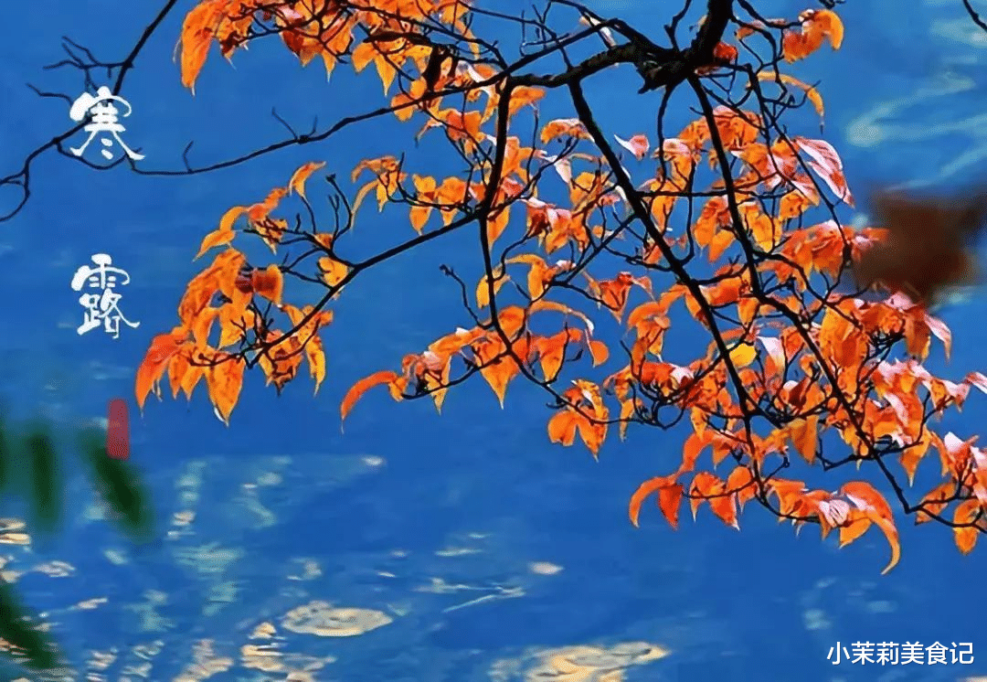 蔬菜|“寒露3不吃，吃了秋难安”，是指啥？10月8寒露，叮嘱家人要忌嘴