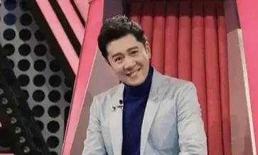 那辛是蔡国庆的妻子吗？