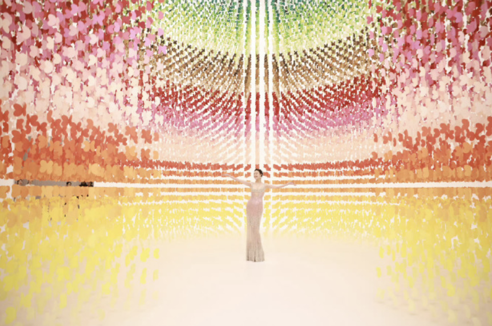 上海这一晚:倪妮冻坏了,赵今麦暴露「真实身高」,陈坤认不出了