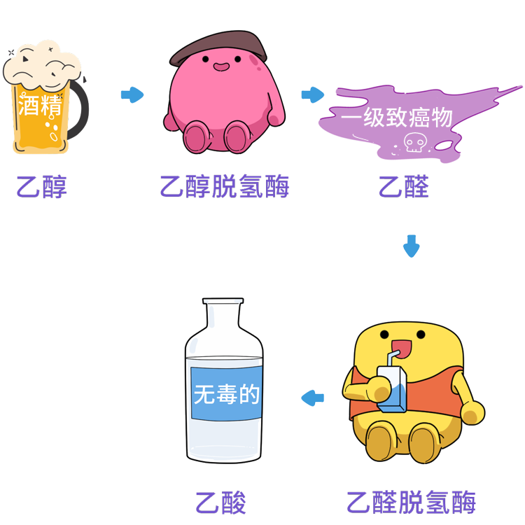 早上空腹喝水，比不吃早饭危害还大？喝水的3个真相，一文告诉你