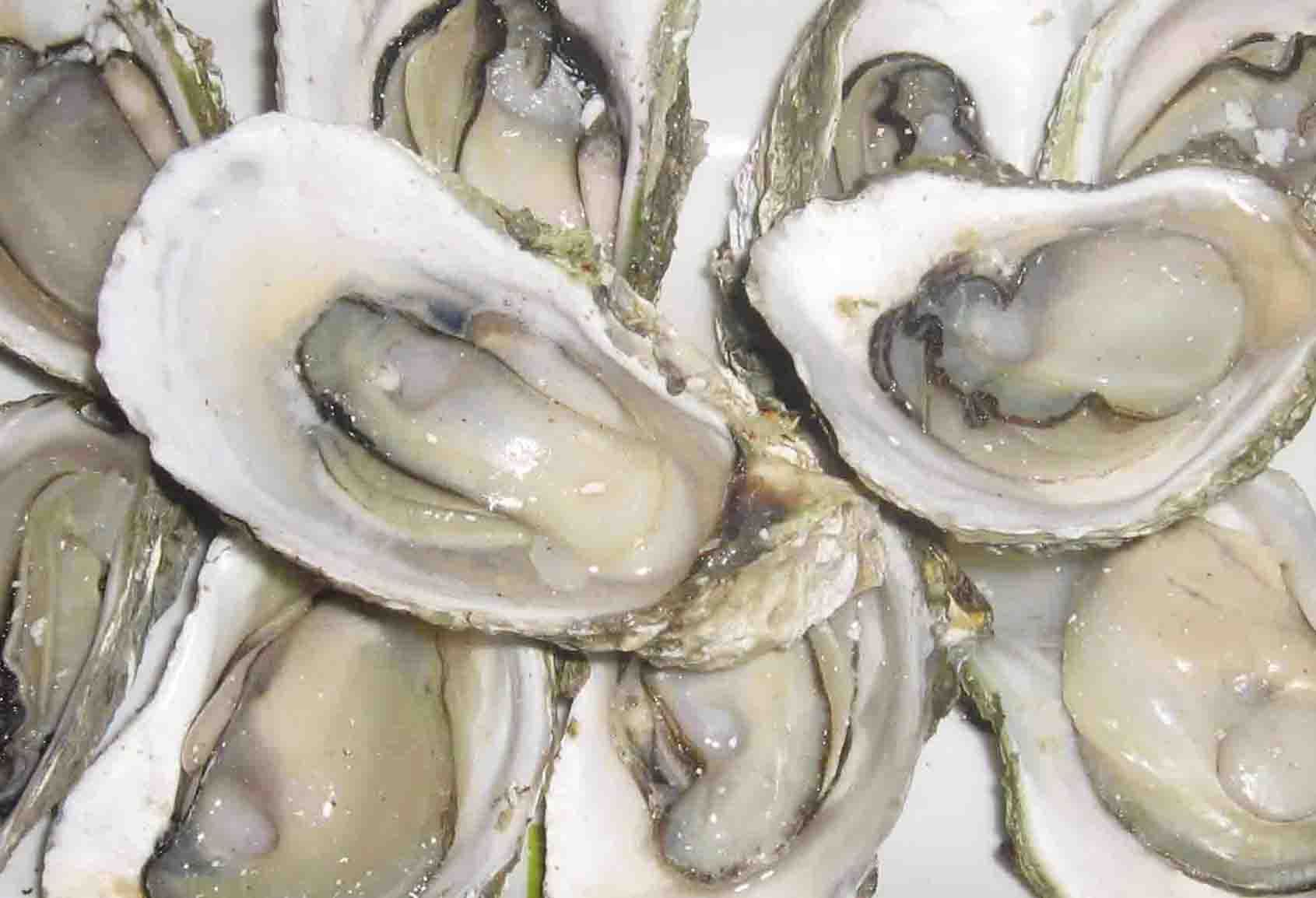 4种自带“黄体酮”的美食,中年女性要多吃,美容养颜显年轻