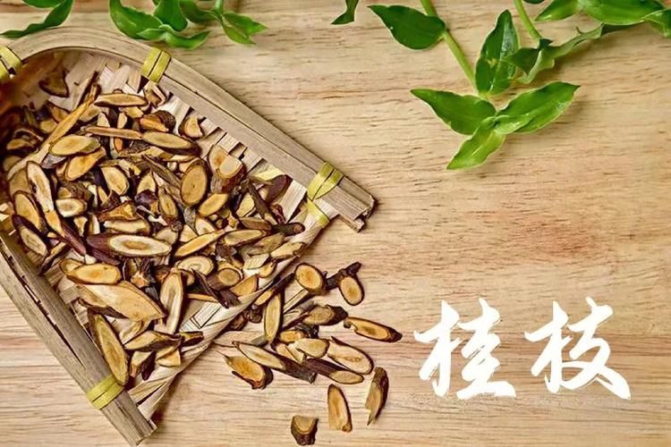 治痛风的断根怪方