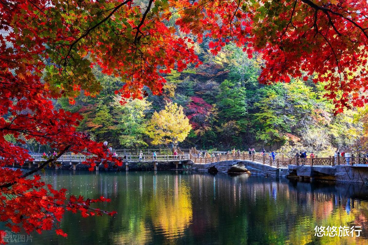赏秋|秋景将至，中国12个顶尖的红叶观赏地，你选哪一个？