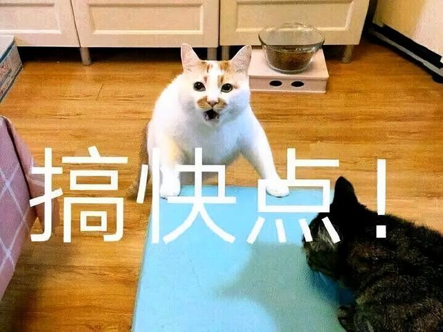 数码资讯|当个性拉满的魅族有了花不完的钱,会做出一台什么手机