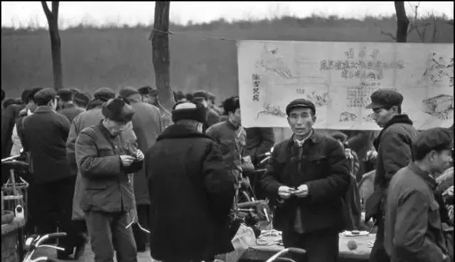羊肉|七十年代下饭馆，看看那时都吃啥