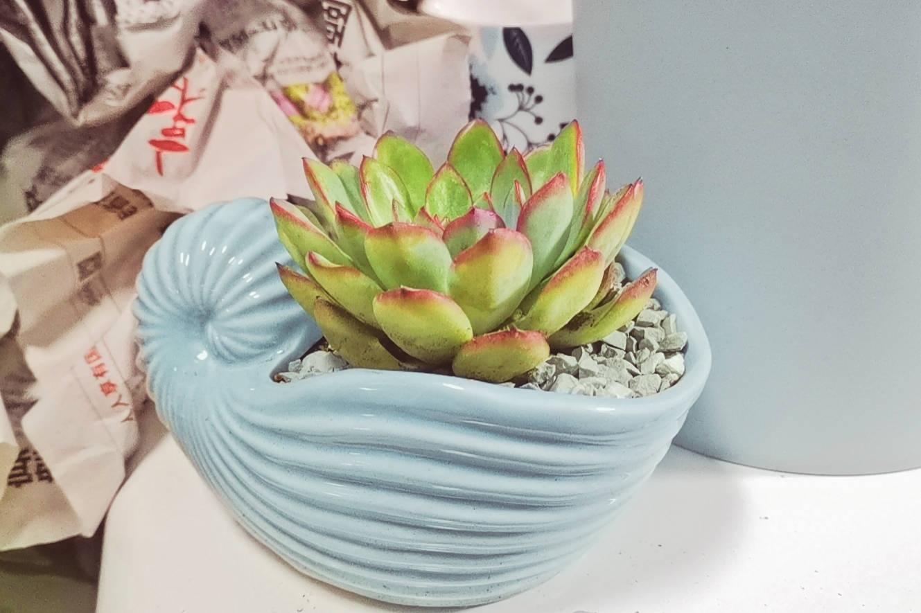 八、九月,迎来许多贵人,诸事大吉,职场顺利,满是惊喜的3生肖