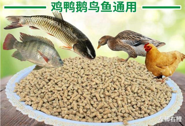 夏季垂钓鲤鱼,都有哪几种好用的鱼饵?