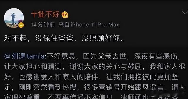 王珂|“软饭男”王珂:让刘涛养了14年,他怎么就成了废柴?