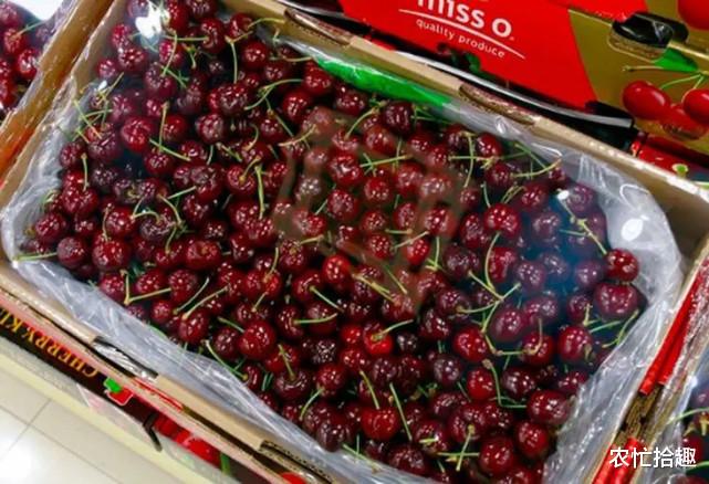 车厘子|产量增长25%，本已跌价6成，却遭电商扫货反涨，网友：贵又没好货
