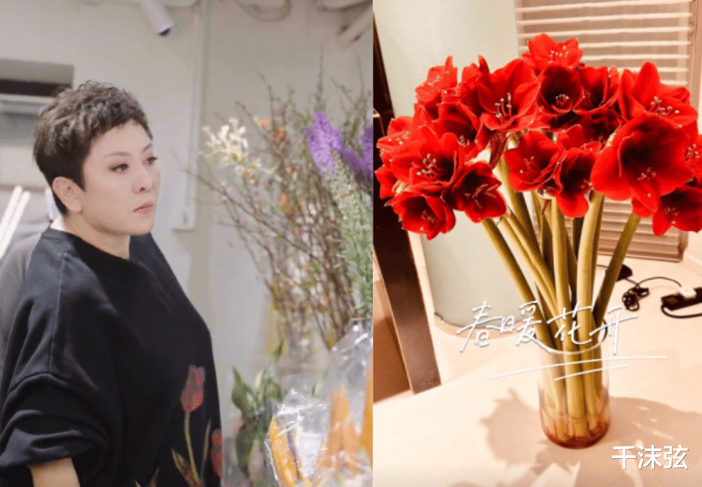 周焯华|郭碧婷随向太定居杭州!对婆婆撒娇亲如母女,手握财产成接班人