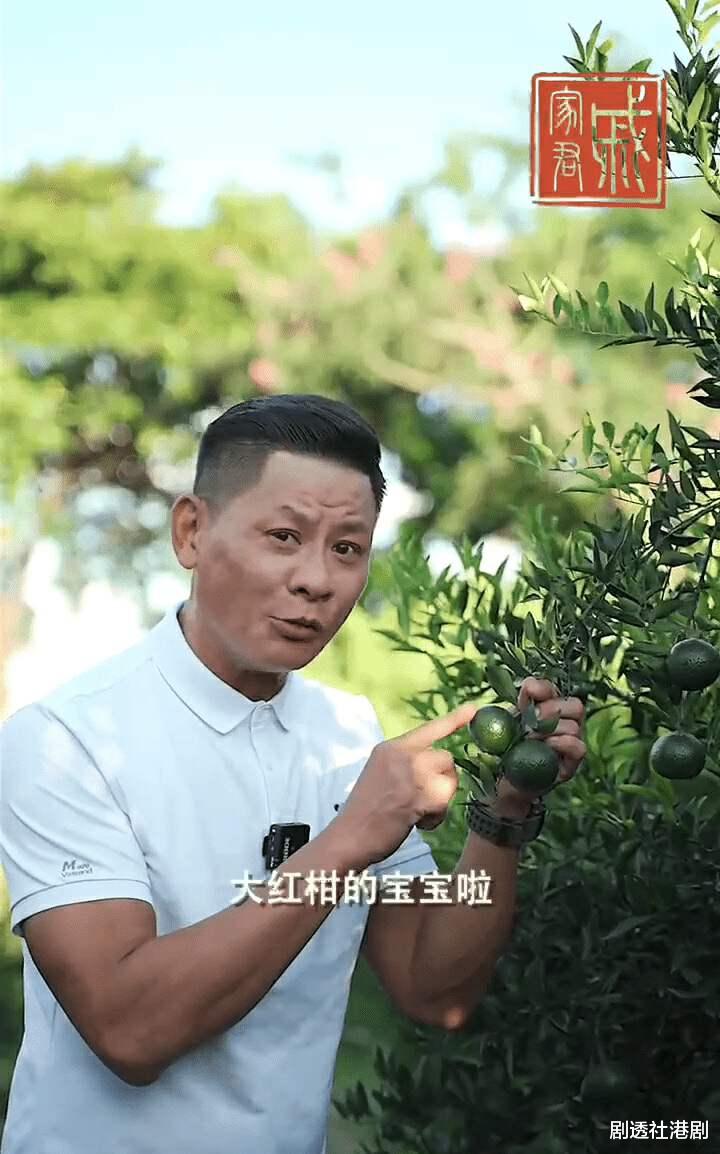 TVB“御用恶人”再开餐厅！目前已有分店，此前投资果园占地200亩