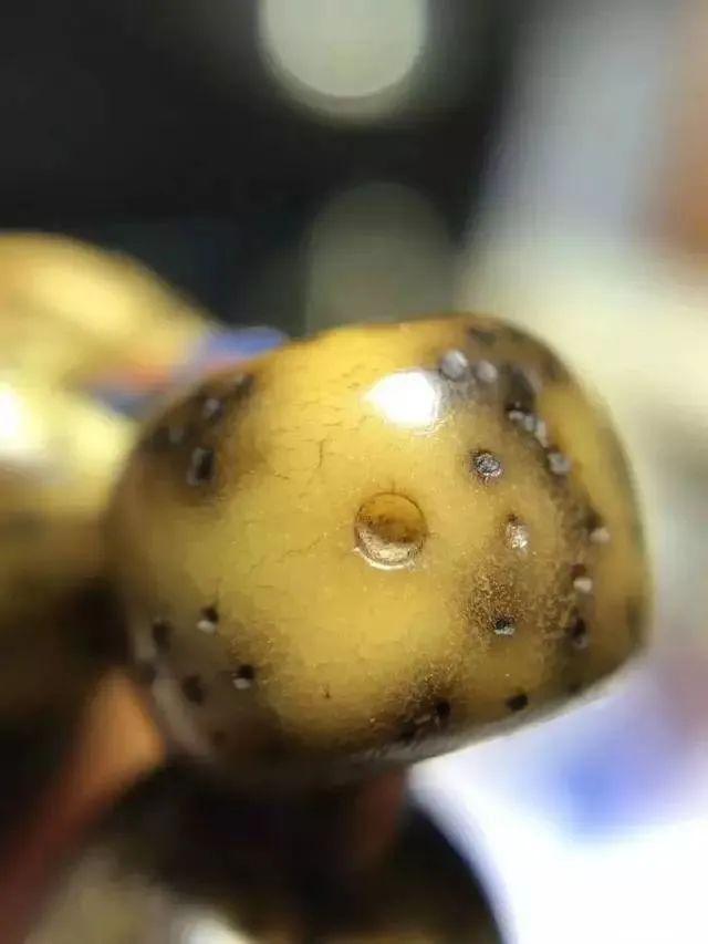 文玩|文玩人的魅力，你懂吗？