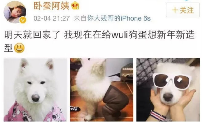 内娱赘婿之战！