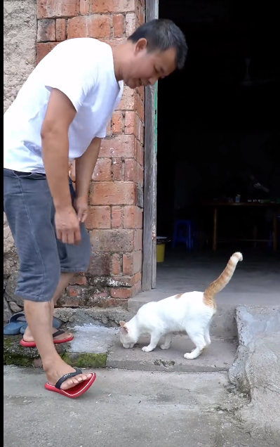 曝Rose团队疑出问题，至今未回丽水，吴建云大哥直叹气，账号停更