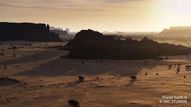 纪录片《地球脉动III》豆瓣9.7分,打造海陆奇观