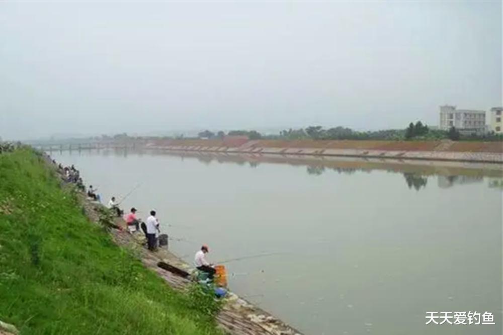这5大黄金鱼窝，被钓鱼人疯抢，连窝子都不用打了