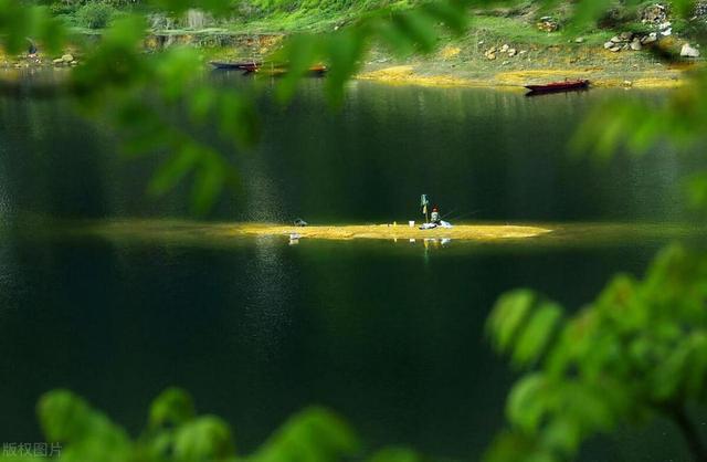 三伏天钓鲫鱼没口?到底什么原因?调整这几点,竿竿上大板鲫