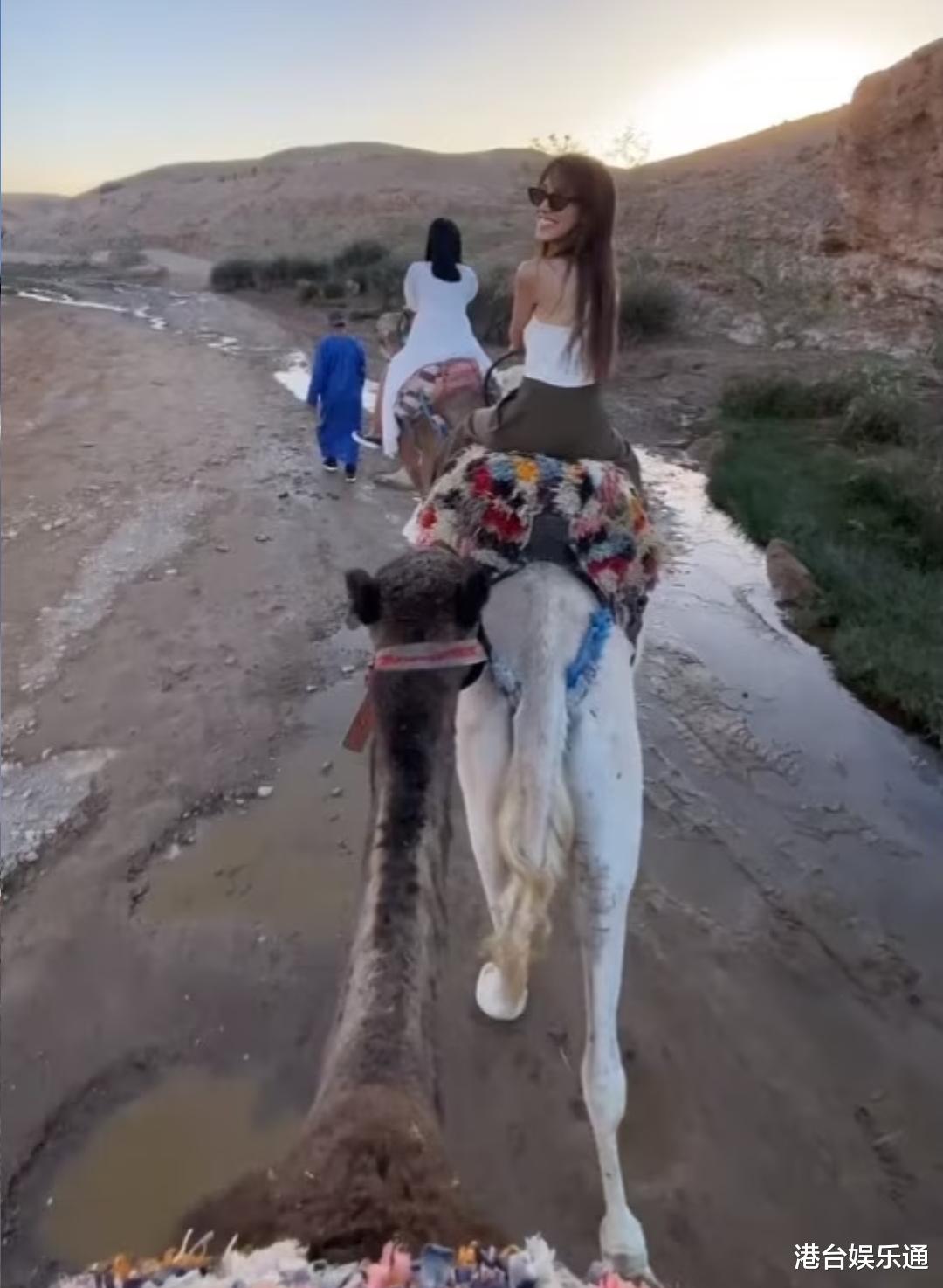 陈凯琳维护郑嘉颖： 他只是说话很直接，愿请马国明夫妇吃餐饭