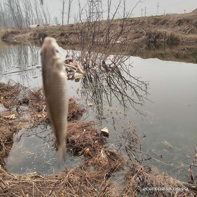 |鱼儿正在向我们招手,你做好准备了吗?