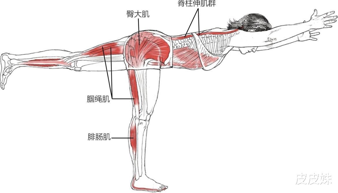 为什么受伤的总是你？一个瑜伽动作告诉你如何避免伤害