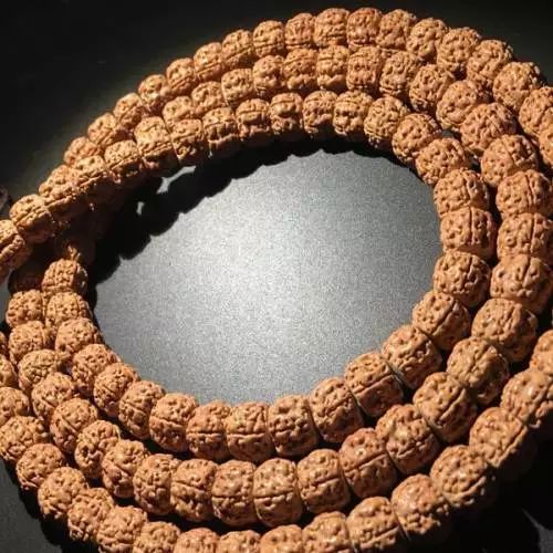 浅谈文玩圈中金刚菩提的那条“龙”