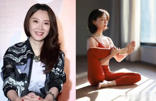 董卿、陈数亲自示范:发不过肩、穿裙系腰带,才能美得优雅又气质