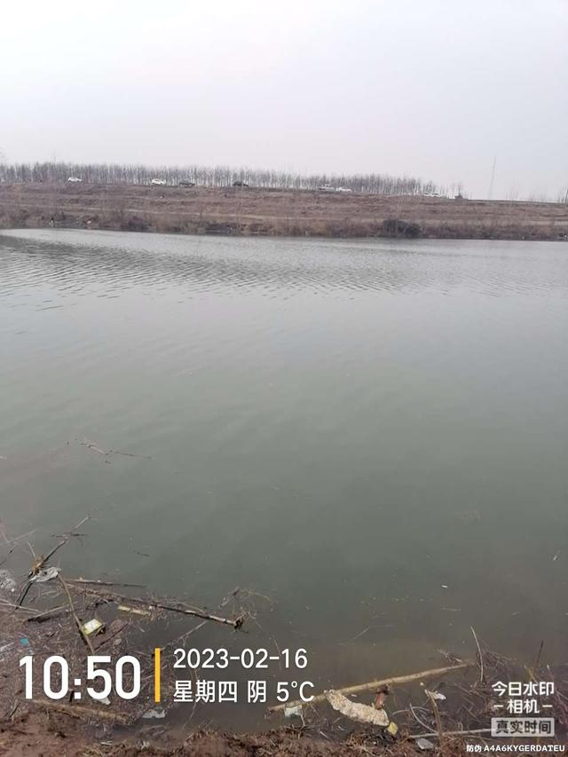 |舍远求近，连上两条大板鲫