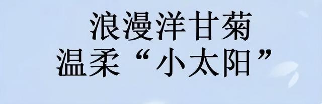 被上帝吻了脸,却忘记吻手,真心地想递给电影明星们一支护手霜