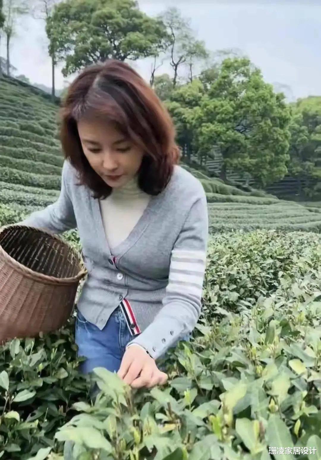 刘芳菲|女主持刘芳菲复出?曾与大佬不伦恋被央视雪藏,还在慈善晚会与多名富豪亲密!