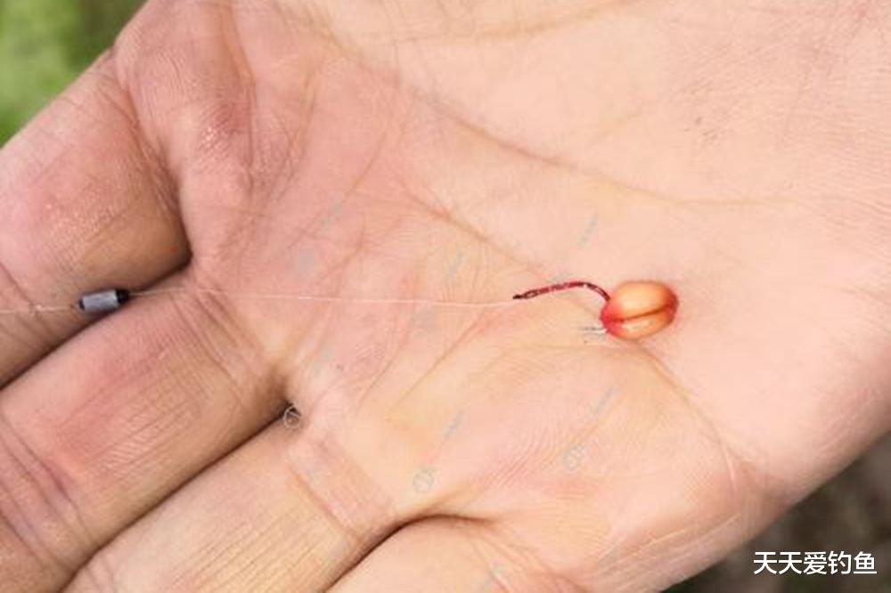 野钓大鲫鱼,4个招数要常用,渔获全是半斤以上