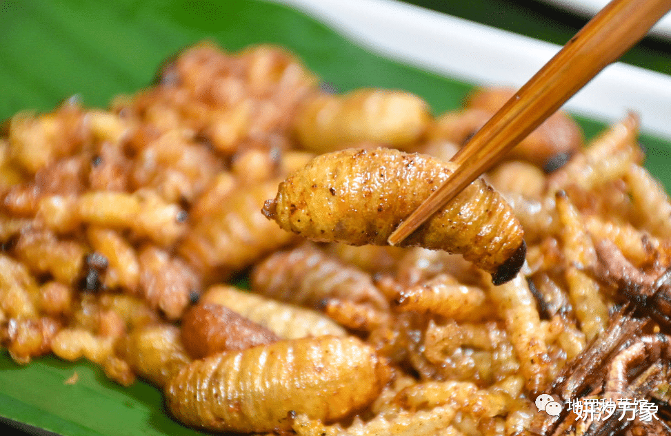 昆虫|全中国最敢吃和最会吃虫子的地方，这10种最经典，你敢吃几种？
