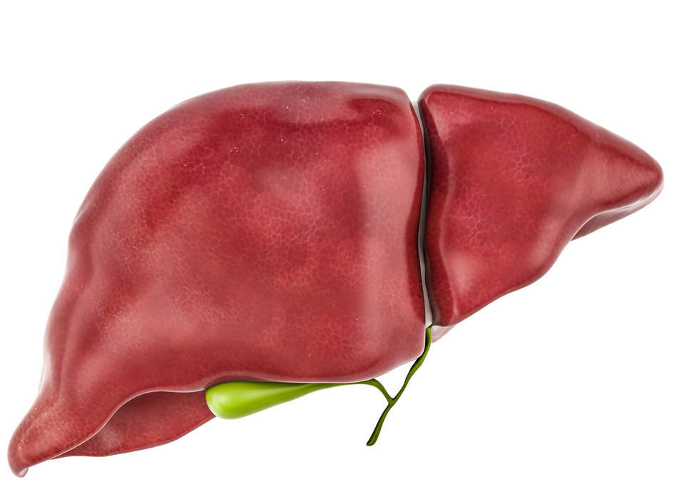 甲状腺|胆囊摘除后影响寿命吗？