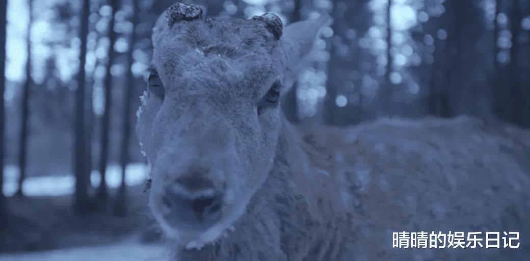 飙升榜第一!电影《一个和四个》一出手,就是悬疑片天花板