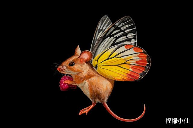 属鼠|2023年属鼠的适合养哪些花草运更好？振奋精神，节节高升