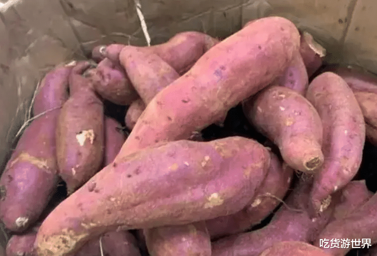 红薯|蒸红薯,最忌直接上锅蒸,牢记3点,比烤的还好吃,个个绵软流糖