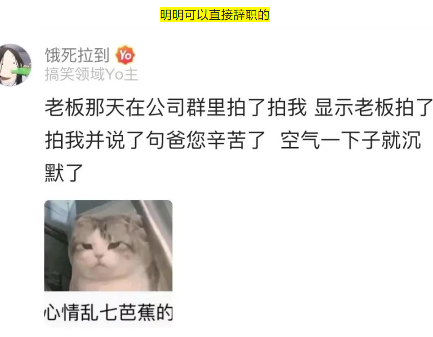 |继整顿职场后,00后“专坑老板”行为火了,职场精英未来可期