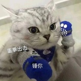 丁璐璐不怕