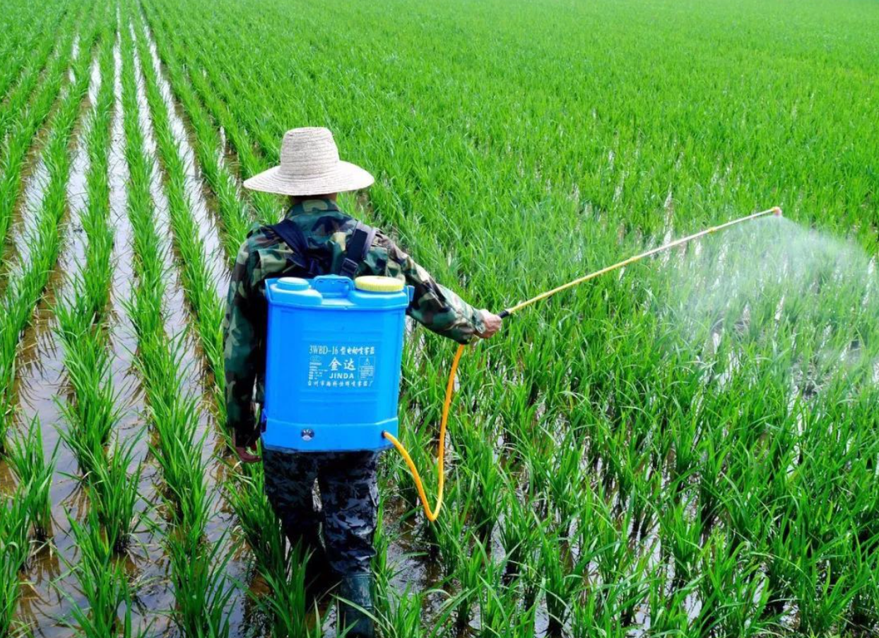 白血病|白血病偏爱孩子，医生：可能跟爸爸的职业有关，中招的赶紧改