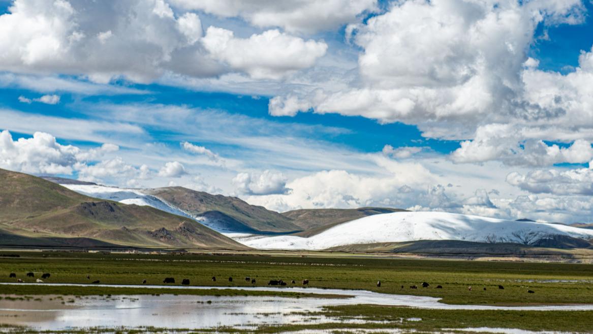 西藏|我国人口最“少”的省份，还没有北京一个区的人口多，占地面积却极大