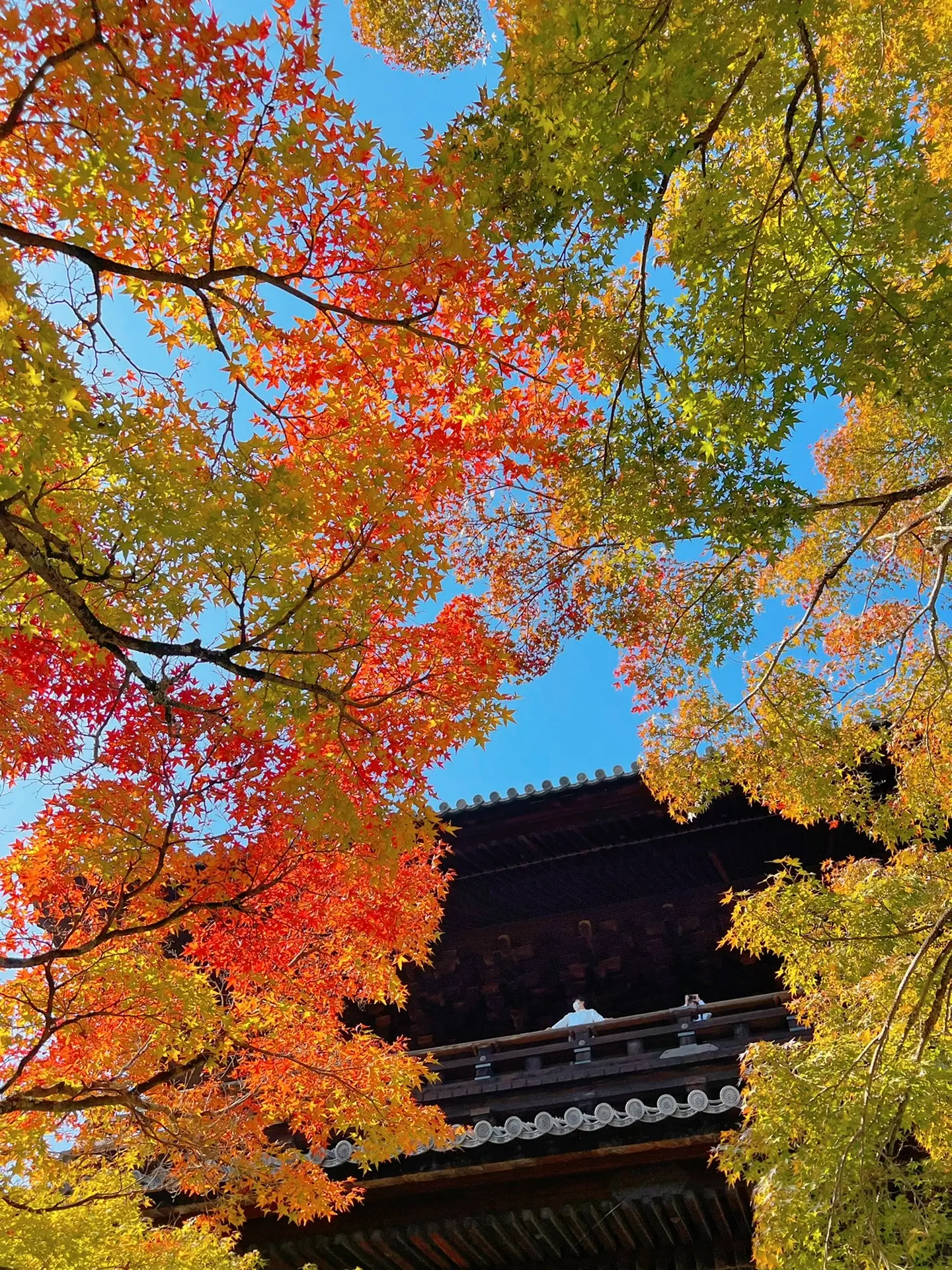 南禅寺|南禅寺的秋～想留住这一抹秋色～还是在南禅寺～\uD83D\uDE00