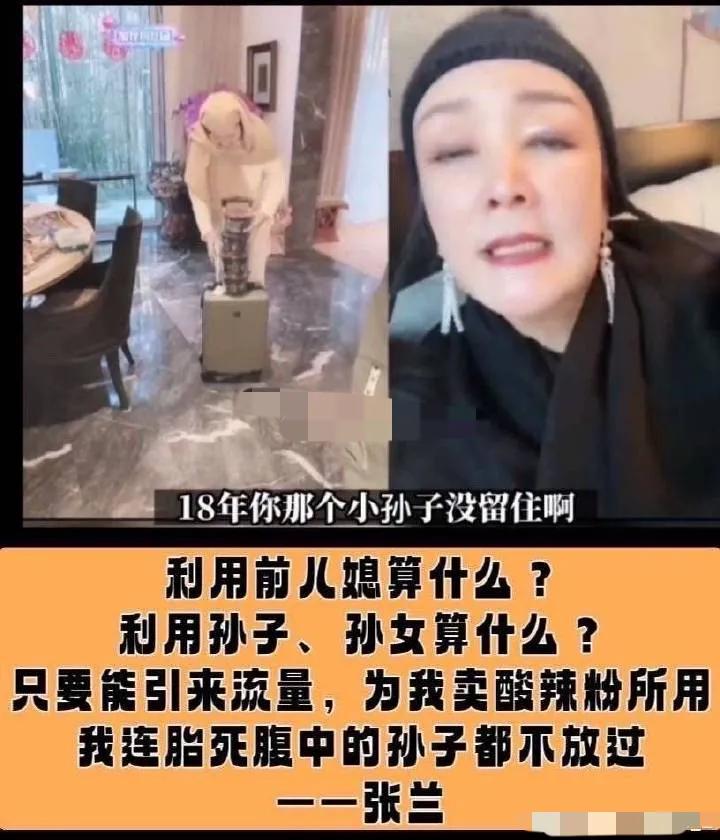 张兰|张兰承认是蹭大S热度！直言儿子婚变热度把麻六记盘活