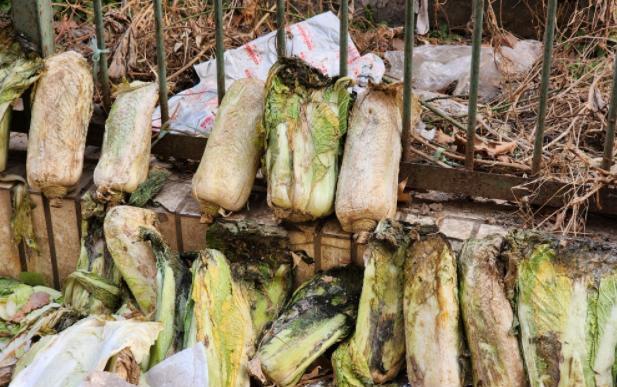 陈凯歌|陈凯歌一家送狗仔吃“牢饭”,狗仔回应,网友评价暴露陈凯歌口碑