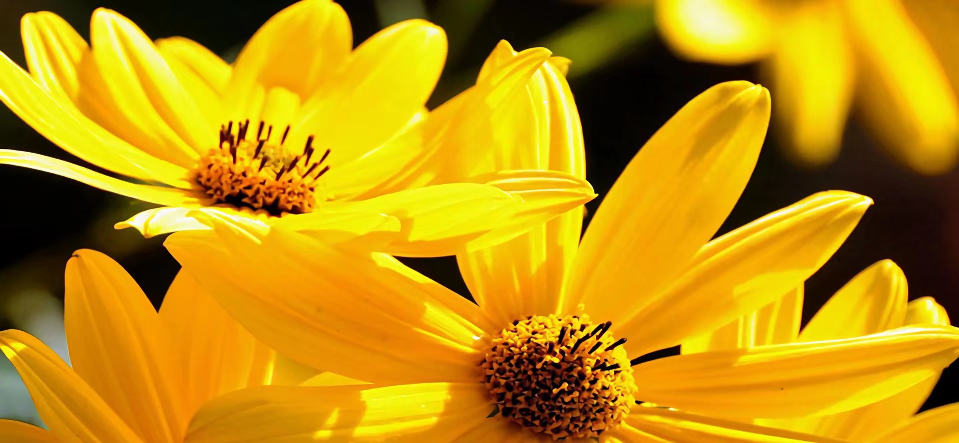 嫁给做交易的人有什么好处？