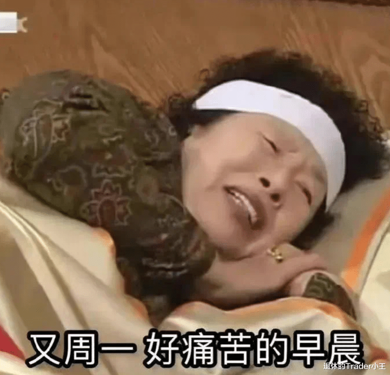 退休小王的日记(十六)