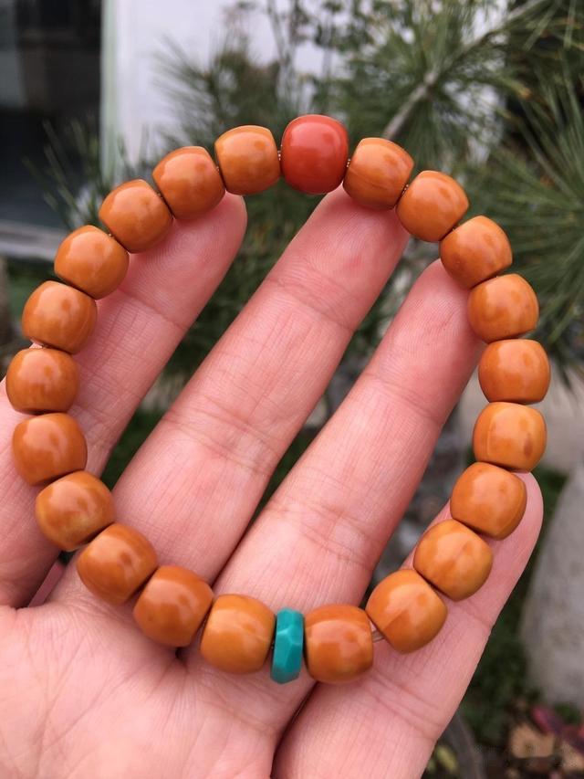 橄榄核|猴头正圆是不是橄榄核？猴头和橄榄核应该如何区分？