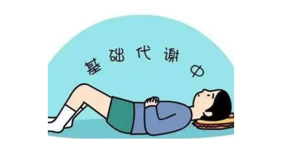 基础代谢怎么算？我们该怎么提高代谢——紫微健康